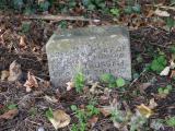 image of grave number 154901